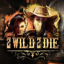 Play the 2 Wild 2 Die slot by Hacksaw Gaming on BroWinner Casino