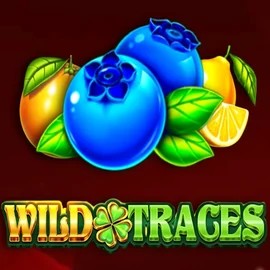 Wild Traces logo by Amusnet Interactive at BroWinner Casino